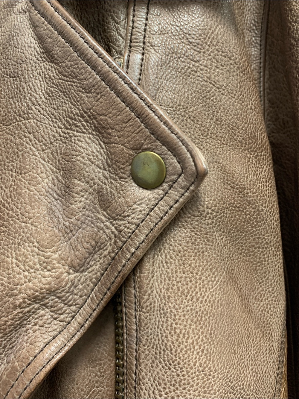 We The Free Brown Leather Moto Jacket with Brass Hardware - Picture 4 of 9